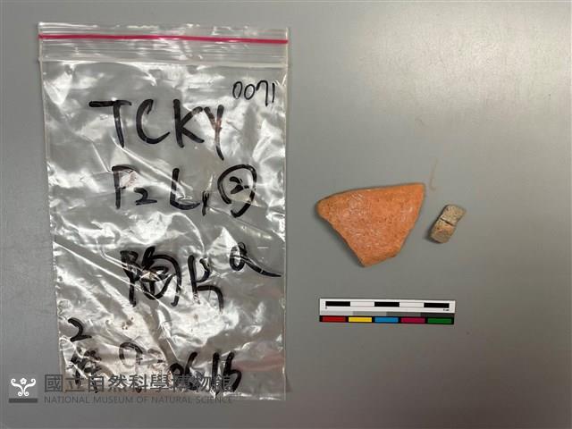 陶片藏品圖，第1張