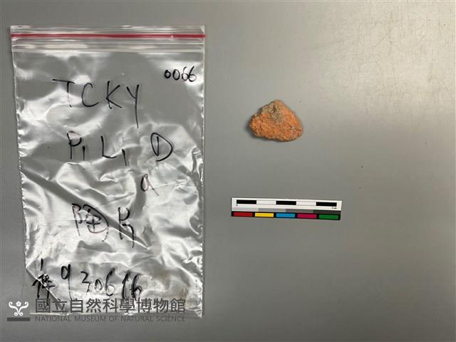 陶片藏品圖，第1張