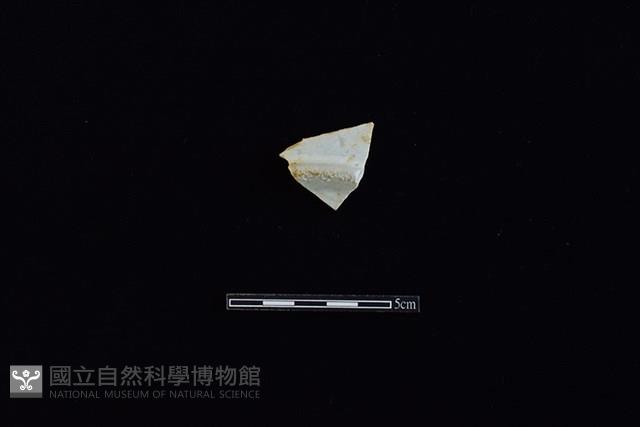 盤藏品圖，第1張