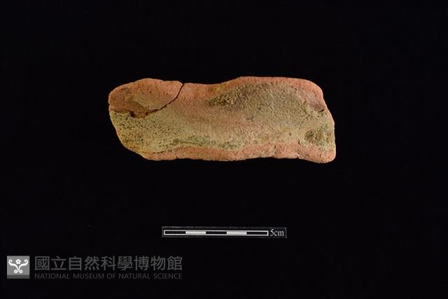 陶罐藏品圖，第1張