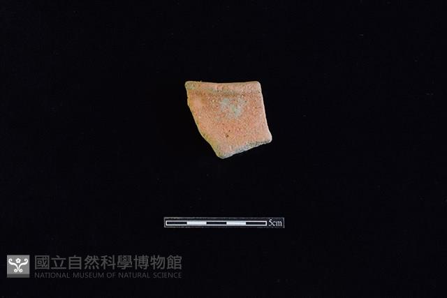 陶罐藏品圖，第1張