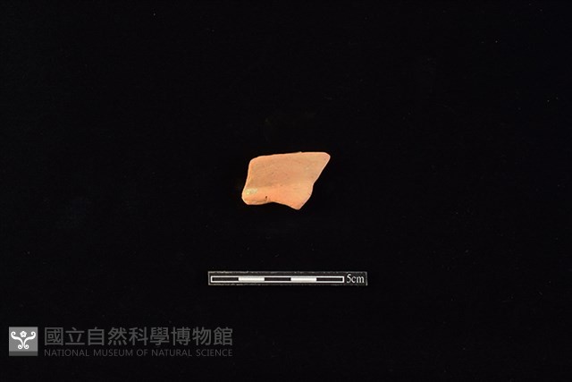 陶片藏品圖，第1張