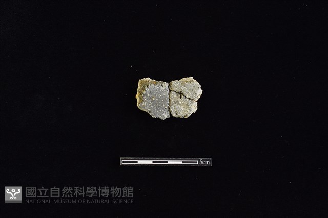 陶片藏品圖，第1張