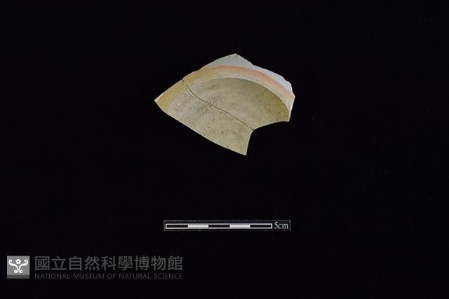 壺藏品圖，第1張