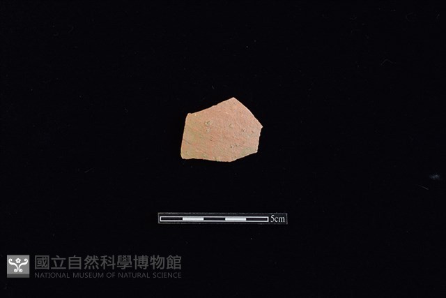 硬陶片藏品圖，第1張