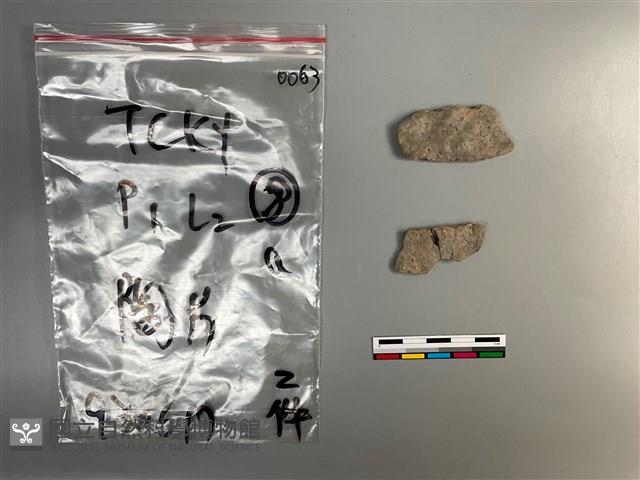 陶片藏品圖，第1張