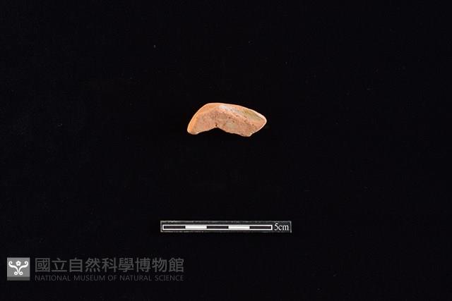 連杯藏品圖，第1張