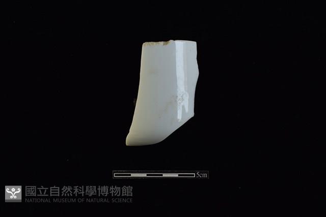 杯藏品圖，第1張