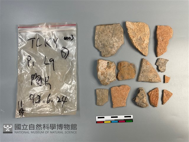 陶片藏品圖，第1張