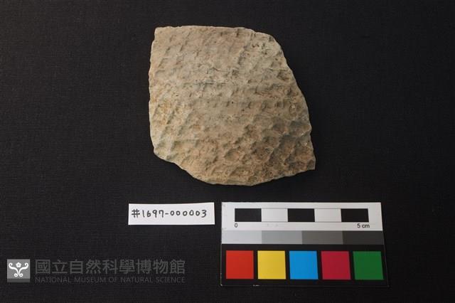 陶片藏品圖，第1張