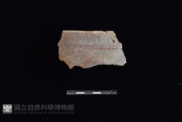 缸藏品圖，第1張