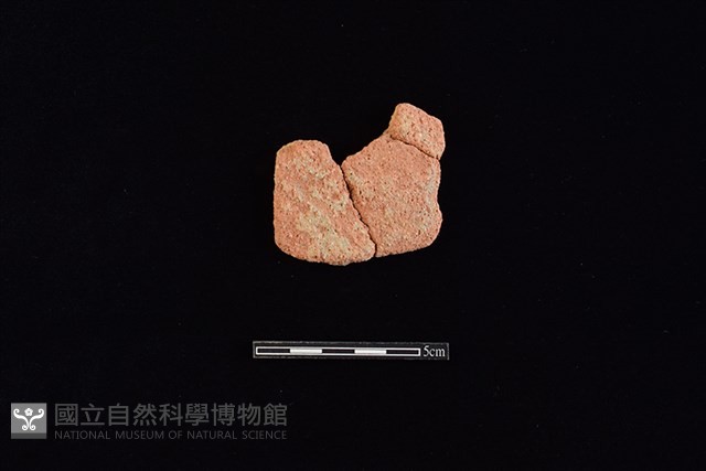 陶片藏品圖，第1張