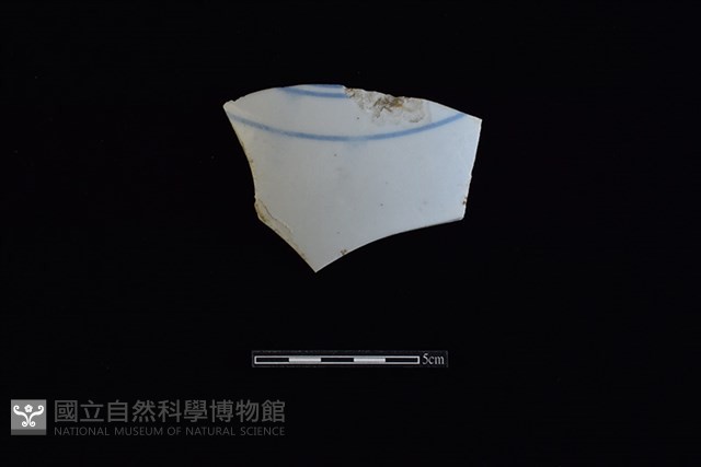 瓷片藏品圖，第1張