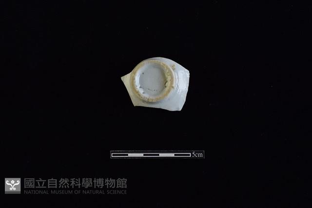 杯藏品圖，第1張