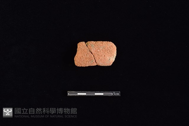 陶片藏品圖，第1張
