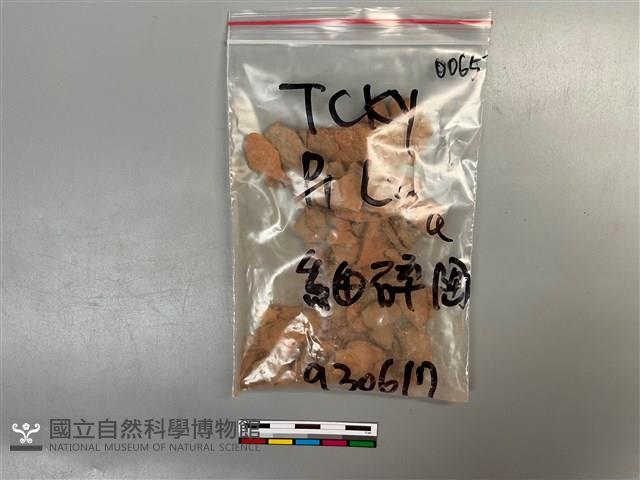 陶片藏品圖，第1張