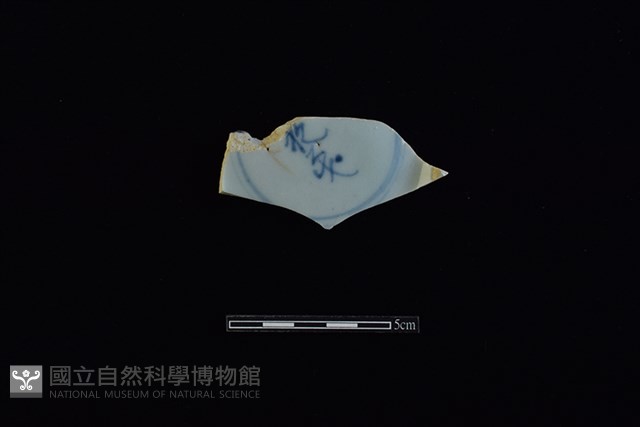 盤藏品圖，第1張