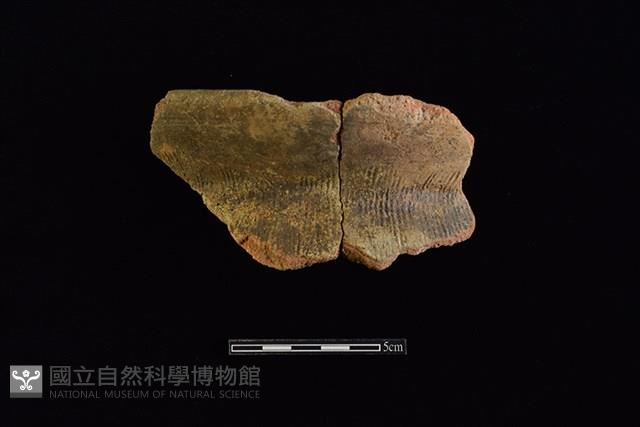 陶罐藏品圖，第1張