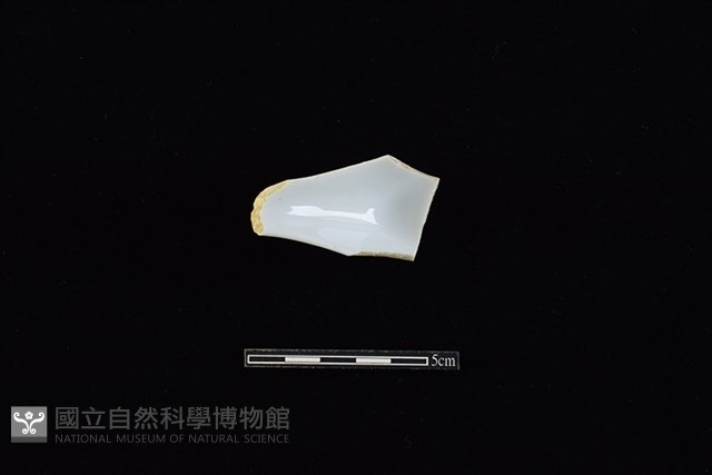 湯匙藏品圖，第1張