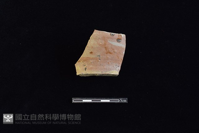 硬陶片藏品圖，第1張