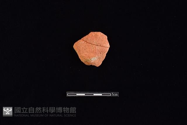 陶片藏品圖，第1張