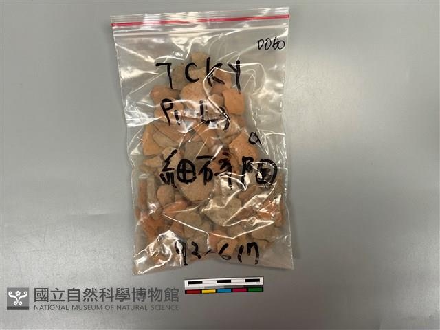 陶片藏品圖，第1張