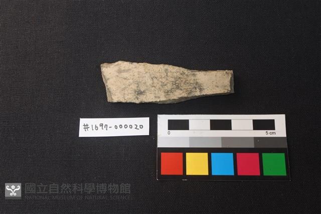 陶片藏品圖，第1張