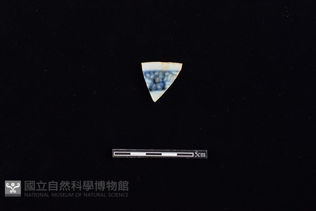 盤藏品圖，第1張
