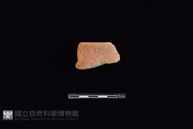 陶片藏品圖，第1張