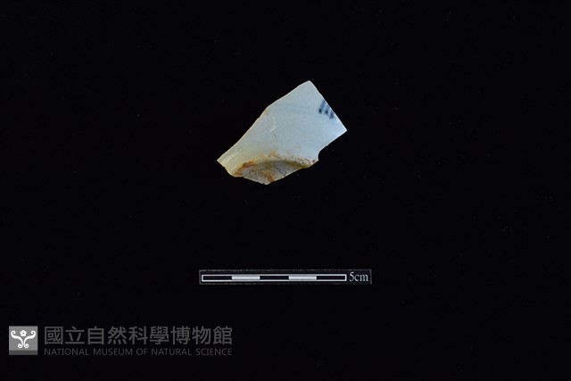 瓷片藏品圖，第1張