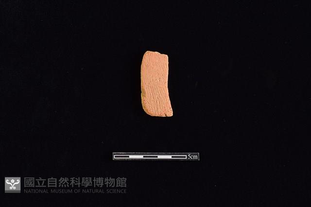 陶片藏品圖，第1張