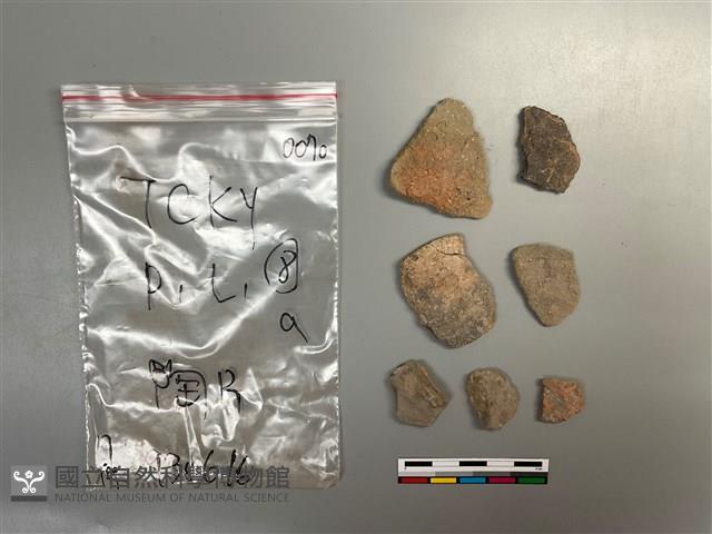 陶片藏品圖，第1張