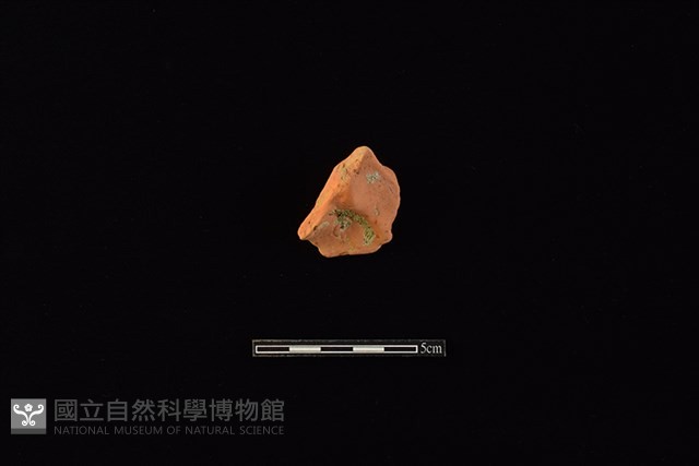 連杯藏品圖，第1張