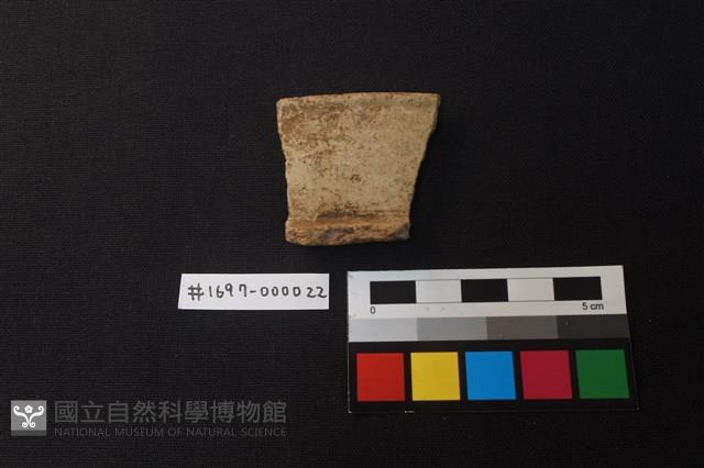陶片藏品圖，第1張