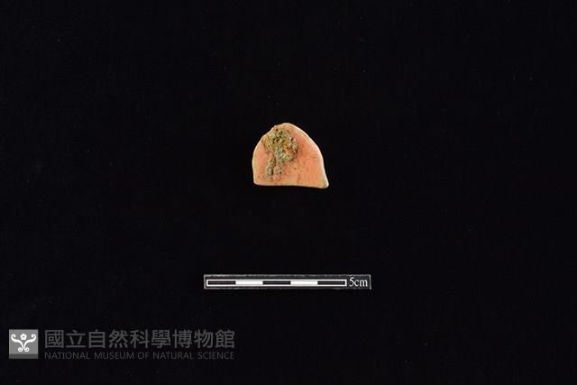 連杯藏品圖，第1張