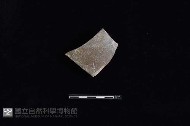 硬陶片藏品圖，第1張