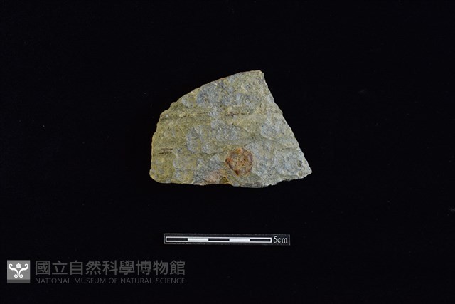 硬陶片藏品圖，第1張