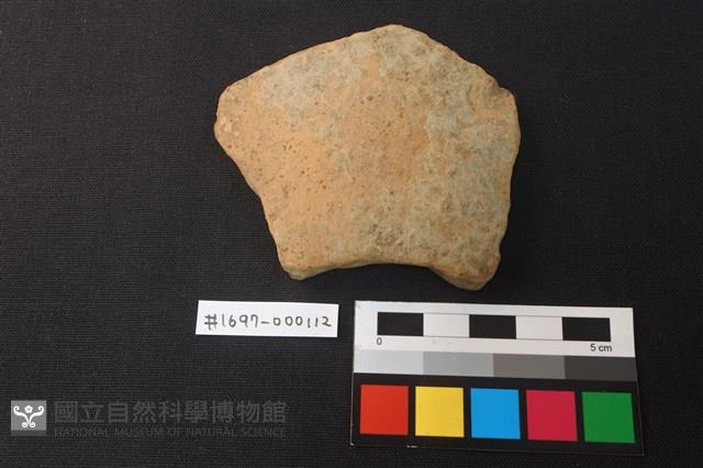 陶片藏品圖，第1張