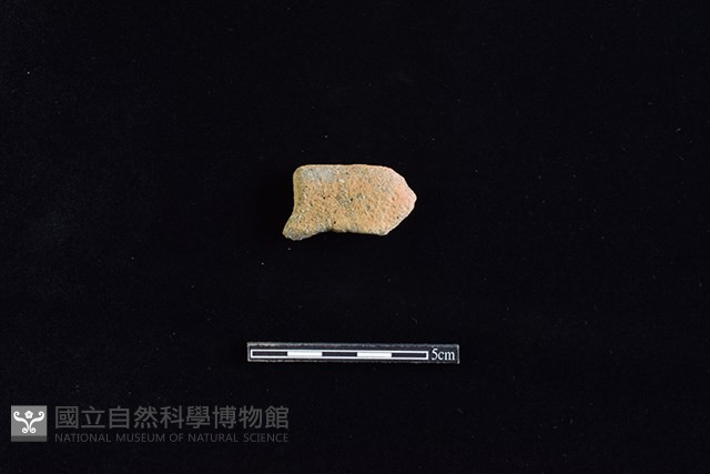 陶片藏品圖，第1張