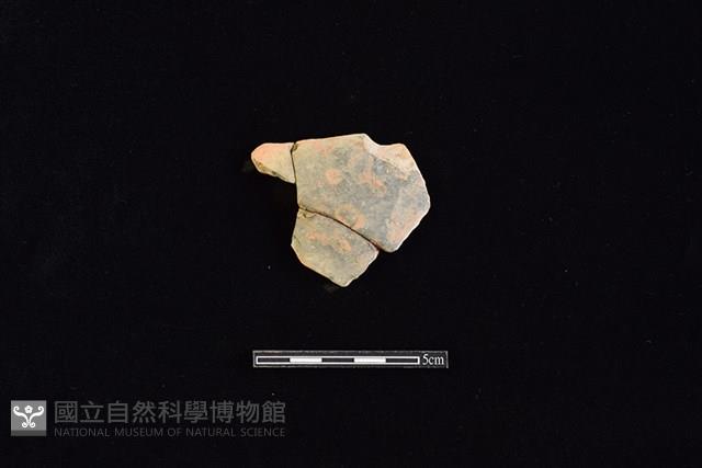 陶片藏品圖，第1張