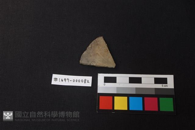 陶片藏品圖，第1張