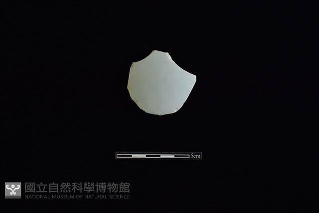 瓷片藏品圖，第1張