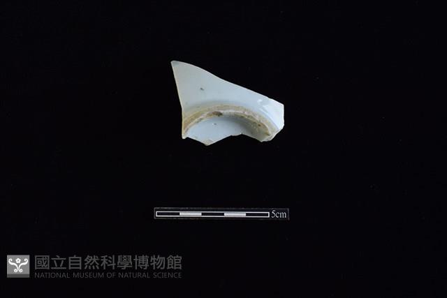 瓷片藏品圖，第1張