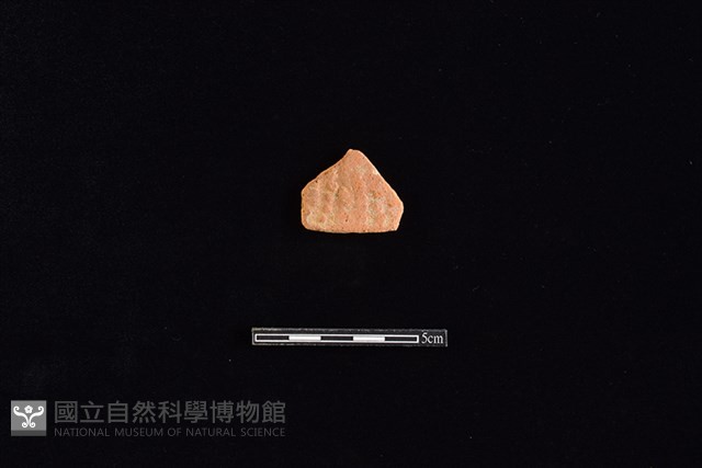 陶片藏品圖，第1張