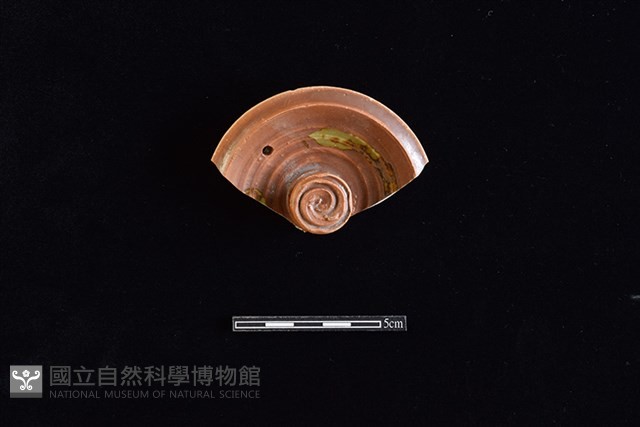 蓋鈕藏品圖，第1張