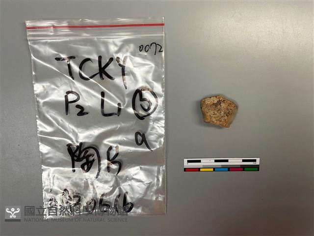 陶片藏品圖，第1張