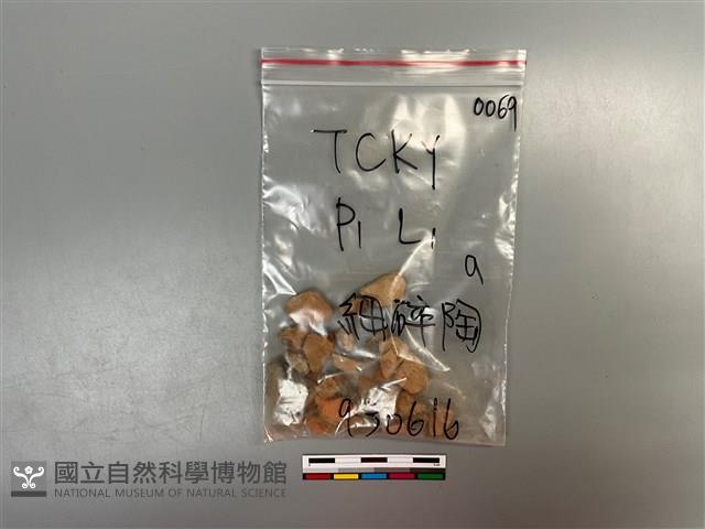 陶片藏品圖，第1張