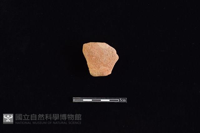 陶罐藏品圖，第1張