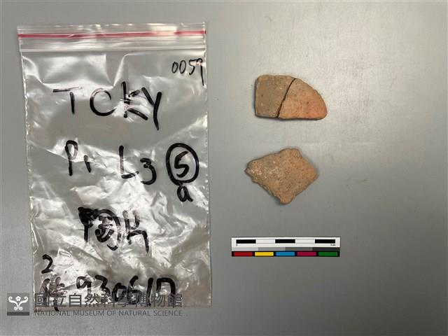 陶片藏品圖，第1張