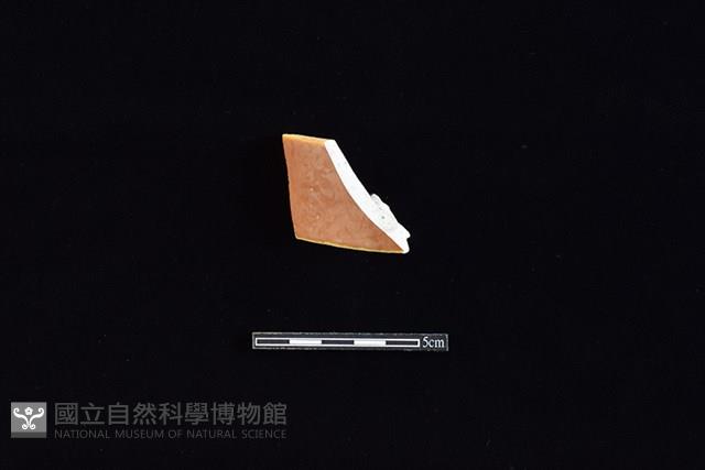 瓷片藏品圖，第1張